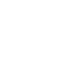 SECURE SHOPPING